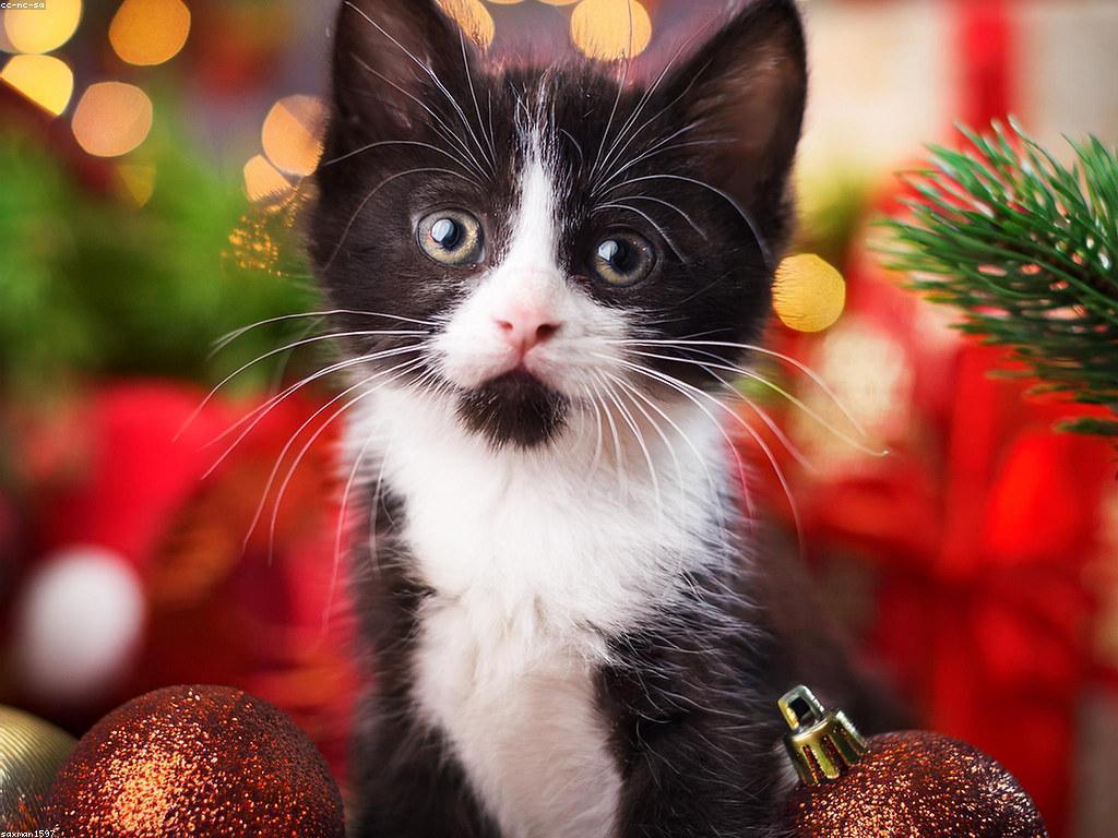 វិធីសាស្ត្រលេងសម្រាប់ការបង្កើតស្នាដៃសិល្បៈ