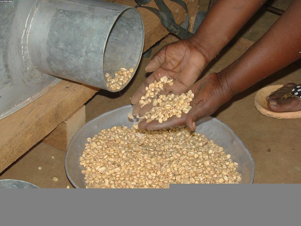 ឥទ្ធិពលនៃព័ត៌មានថ្មីៗលើសង្គម